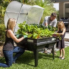 Vegepod Bed with Cover and Stand