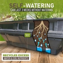 Vegepod Bed with Cover and Stand