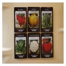 Vegetable Fridge Magnets