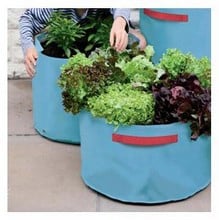 Vegetable Patio Planters