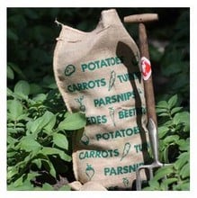 Vegetable Sacks