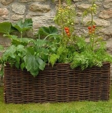 Vegetable & Tomato Planter with Willow Surround