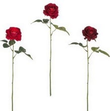 Velvet Red Roses by Sia (set of 3)