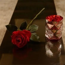 Velvet Red Roses by Sia (set of 3)