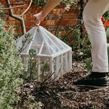 Victorian Garden Cloche