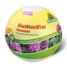 VineWeevilFree Nematodes VineWeevilFree Nematodes
