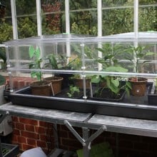 Vitopod Heated Propagator