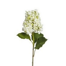 White Hydrangea Spray by Sia