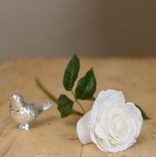 White Rose Stem by Sia