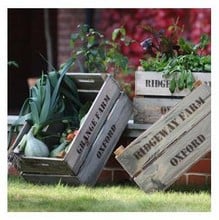 Wooden Fruit Box