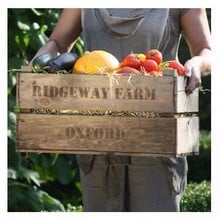 Wooden Fruit Box