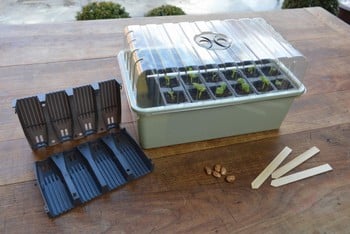 28 cell Deep Root Success Kit