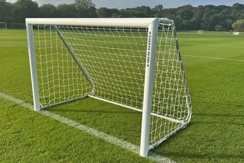 4G Fixed Training Goal and Net