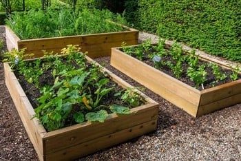 Allotment Wooden Raised Beds