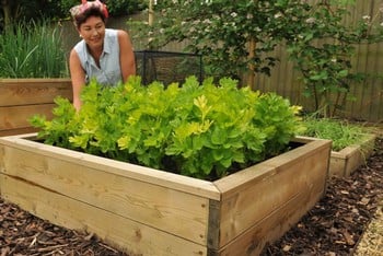 Allotment Wooden Raised Beds