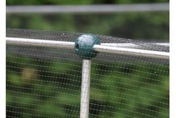 Aluminium Strawberry Cage with Butterfly Netting