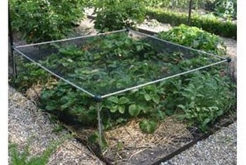 Aluminium Strawberry Cage with Heavy Duty Anti-Bird Netting