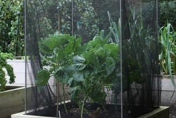 Aluminium Vegetable Cage Kit (1.5m high)