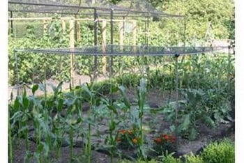 Aluminium Vegetable Cage with Butterfly Netting