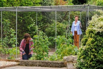 Aluminium Vegetable Cage with Butterfly Netting (2m H)