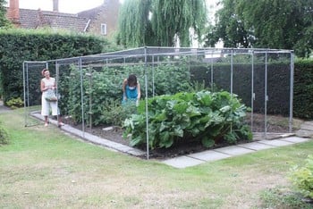 Aluminium Vegetable Cage with Butterfly Netting (2m H)