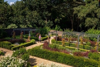 Contemporary Pergola Walkway