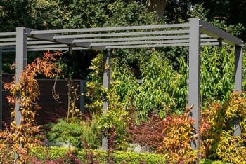 Contemporary Pergola Walkway