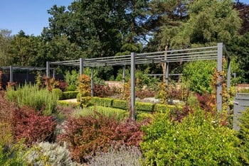 Contemporary Pergola Walkway