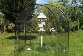 Dome Roof Steel Fruit Cage - Pineapple Finial