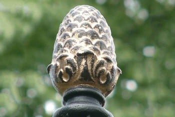 Dome Roof Steel Fruit Cage - Pineapple Finial