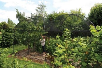 Dome Roof Steel Fruit Cage - Sphere Finial