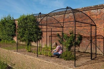 Dome Roof Steel Fruit Cage - Sphere Finial