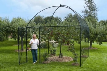 Dome Roof Steel Fruit Cage - Sphere Finial