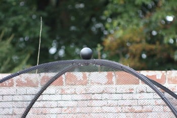 Dome Roof Steel Fruit Cage - Sphere Finial