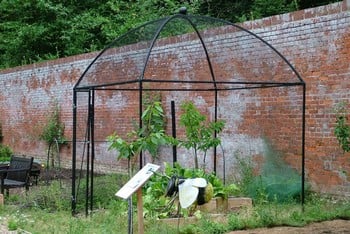 Dome Roof Steel Fruit Cage - Sphere Finial