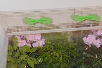 Double High Top Variable Temperature Control Electric Propagator