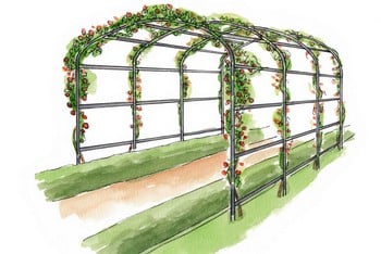 Harrod Ellipse Garden Pergolas