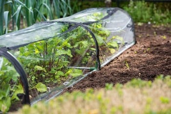 Harrod Modular Cloche