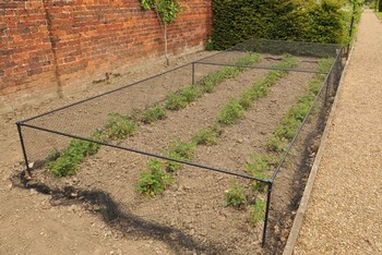 Harrod Slot & Lock® Black Strawberry Cage