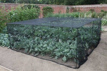 Harrod Slot & Lock® Black Vegetable Cage (1.2m H)