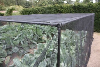 Harrod Slot & Lock® Black Vegetable Cage (1.2m H)