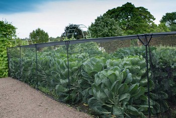Harrod Slot & Lock® Black Vegetable Cage (1.5m H)