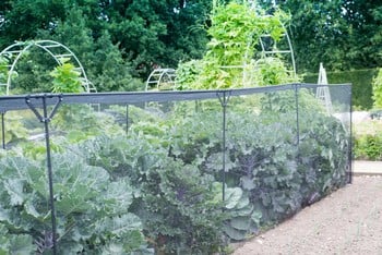 Harrod Slot & Lock® Black Vegetable Cage (1.5m H)