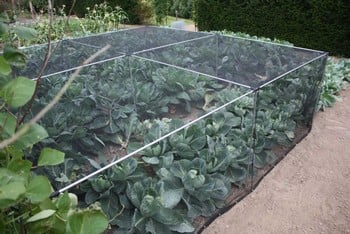 Harrod Slot & Lock® Vegetable Cage (1.2m H)