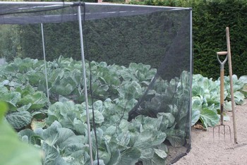 Harrod Slot & Lock® Vegetable Cage (1.5m H)