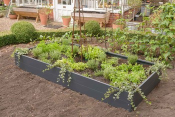 Harrod Standard Metal Raised Beds - Anthracite Grey