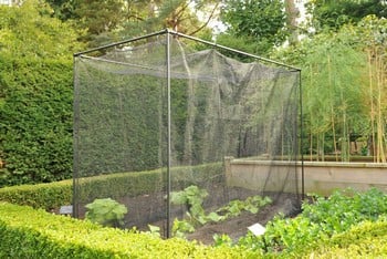 Harrod Stormproof (Black 1.2m H) Frame Saver Vegetable Cage