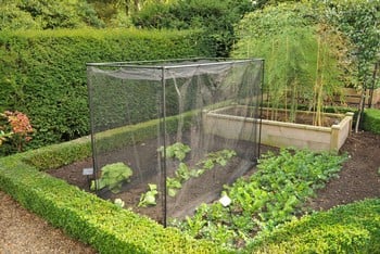 Harrod Stormproof (Black 1.5m H) Frame Saver Vegetable Cage