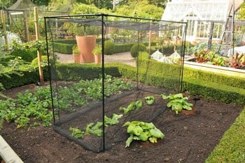 Harrod Stormproof (Black 1.5m H) Frame Saver Vegetable Cage