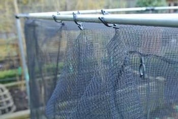 Harrod Stormproof (Natural 1.2m H) Vegetable Cage